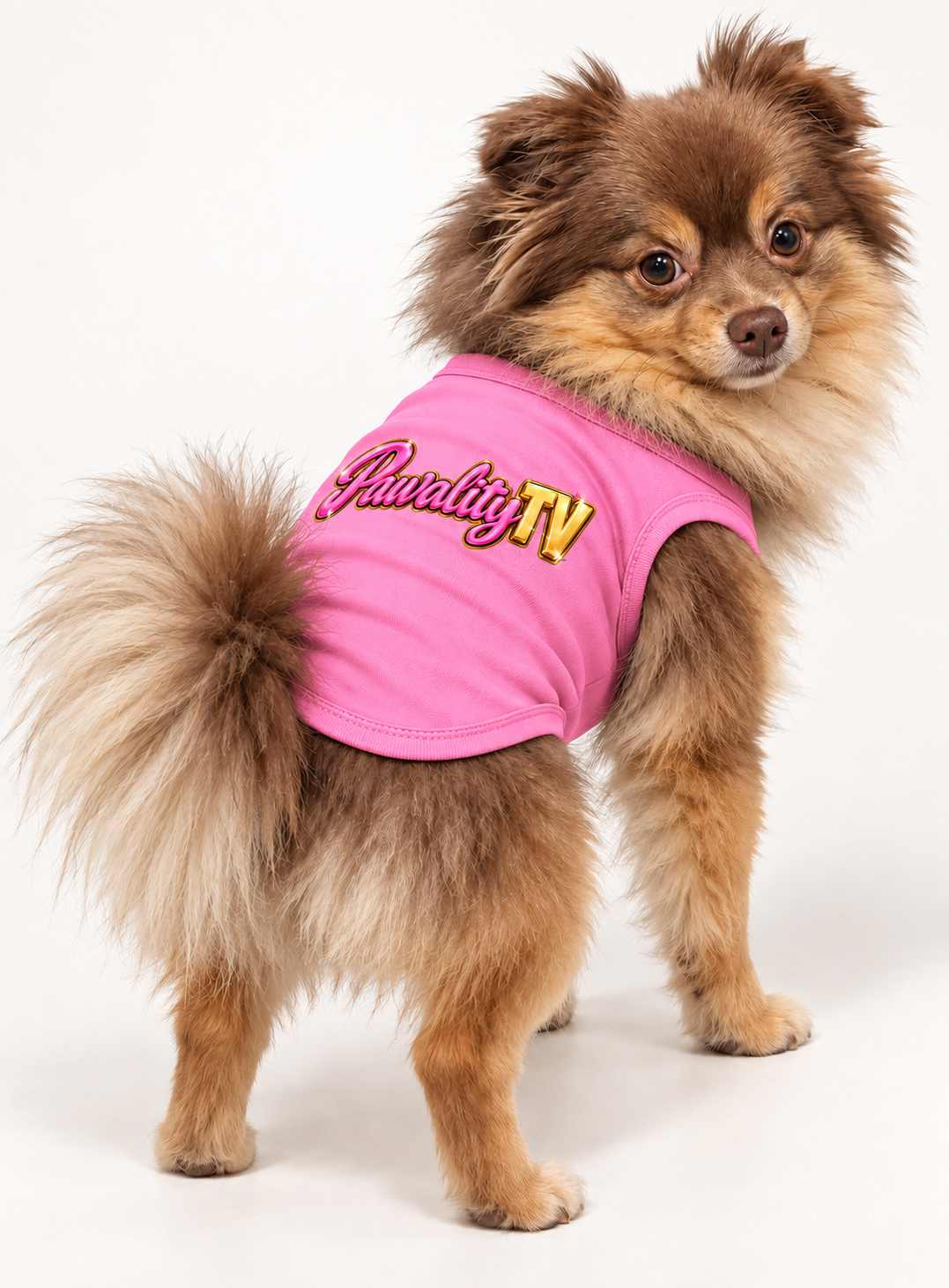 Official Pawality TV Logo Tee  DROPPING SOON