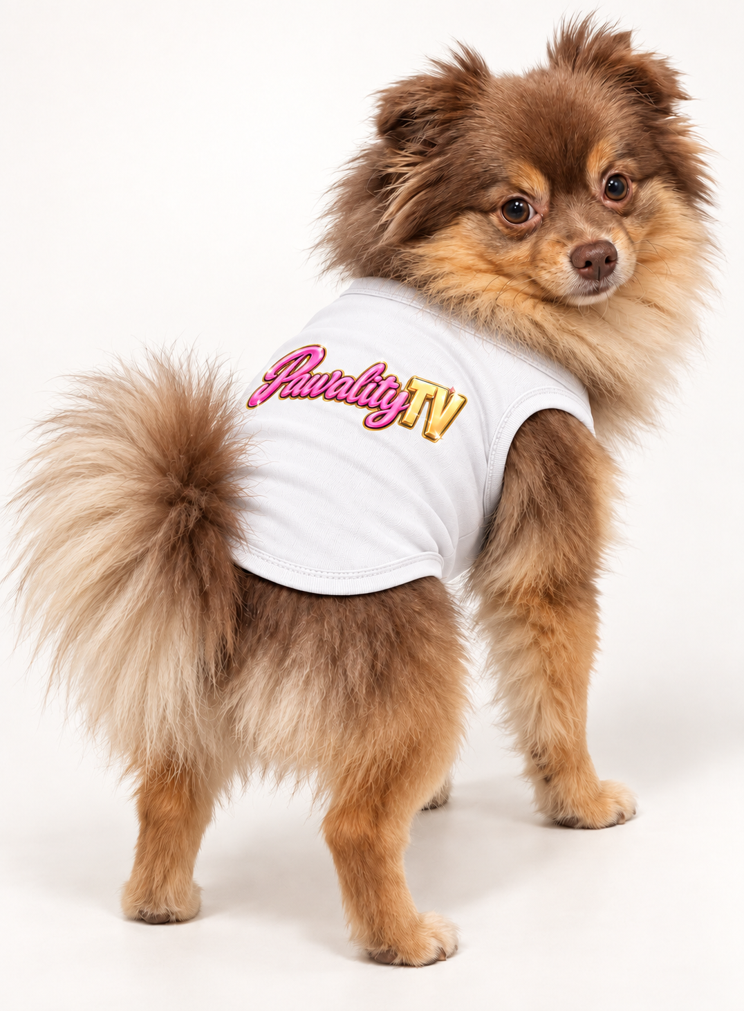 Official Pawality TV Logo Tee  DROPPING SOON