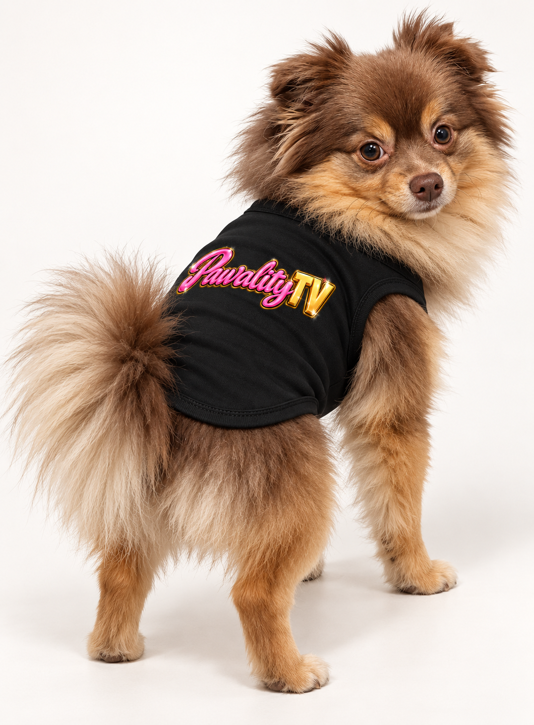 Official Pawality TV Logo Tee  DROPPING SOON
