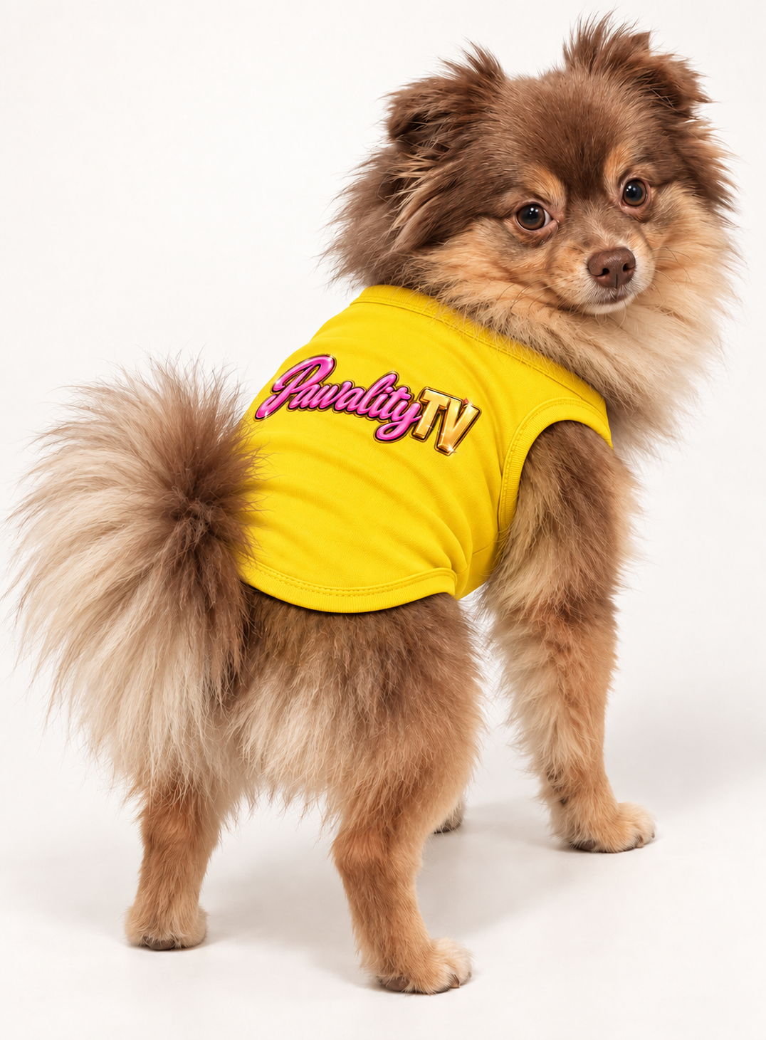 Official Pawality TV Logo Tee  DROPPING SOON